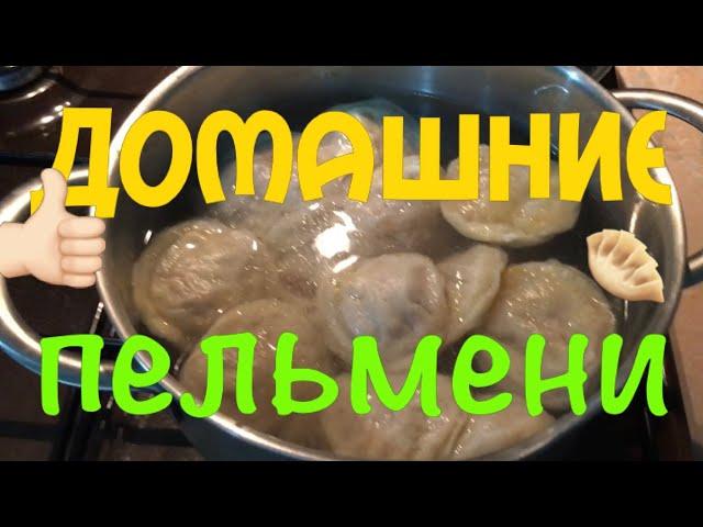 Купила новый шланг /готовлю домашние пельмени  уборка дома /приготовила любимый суп мужа