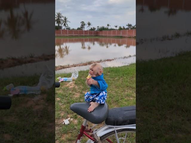 Liza and Lion relax on bike eat