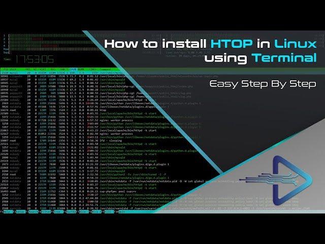 How To Install htop on Linux | TECH DHEE