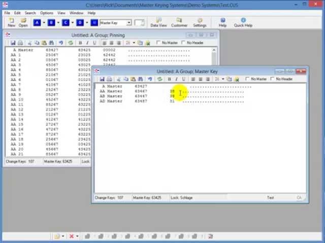 Master Keying Software from KeySoft Security Software