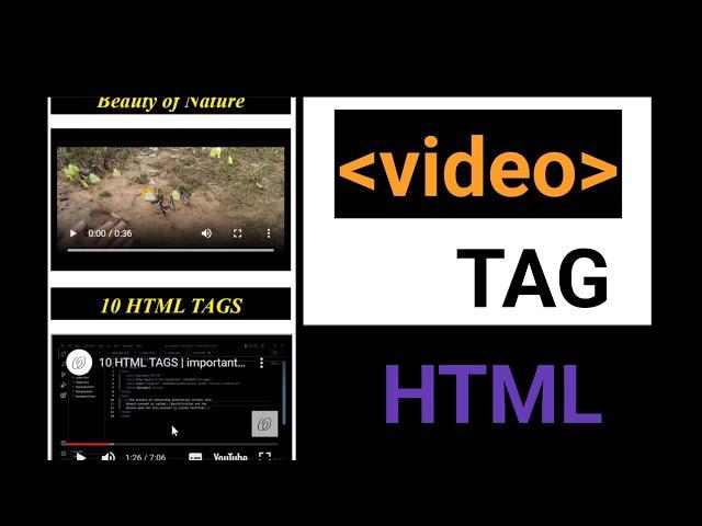 Video Tag | How to add videos in HTML