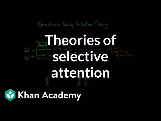 Theories of selective attention | Processing the Environment | MCAT | Khan Academy