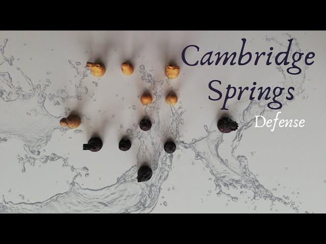 Cambridge Springs Defense Opening Theory