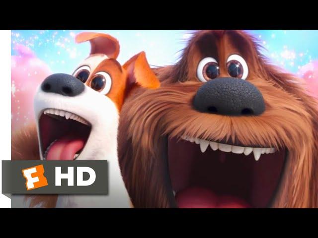 The Secret Life of Pets - Hot Dog Heaven Scene | Fandango Family