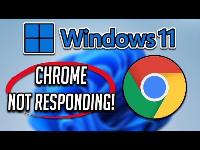 Google Chrome Not Responding in Windows 11/10/8/7 - [2024 Tutorial]