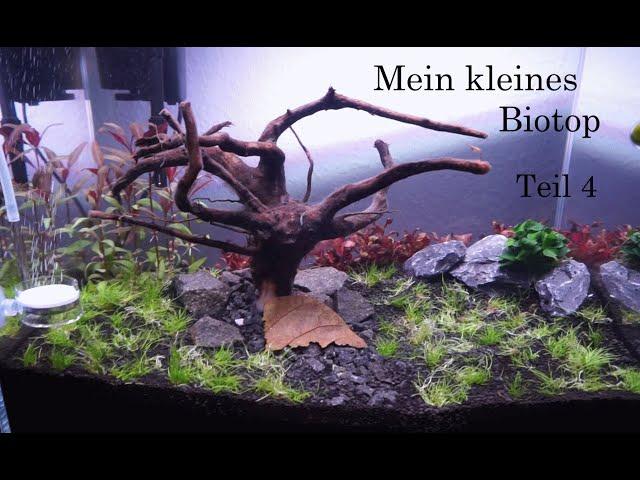 Aquascaping - Teil 4 - Nano Cube findet seine Vollendung mp4