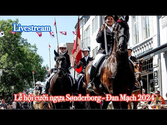Vinh DK er live! Lễ hội cưỡi ngựa Sønderborg, Đan Mạch 