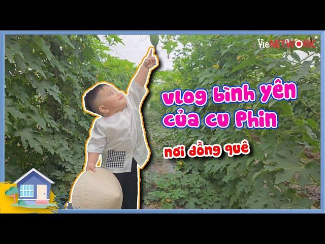 Vlog của chủ tịch cu Phin và cuộc sống bình yên nơi đồng ruộng không áp lực như hai nhỏ chị nhà giàu