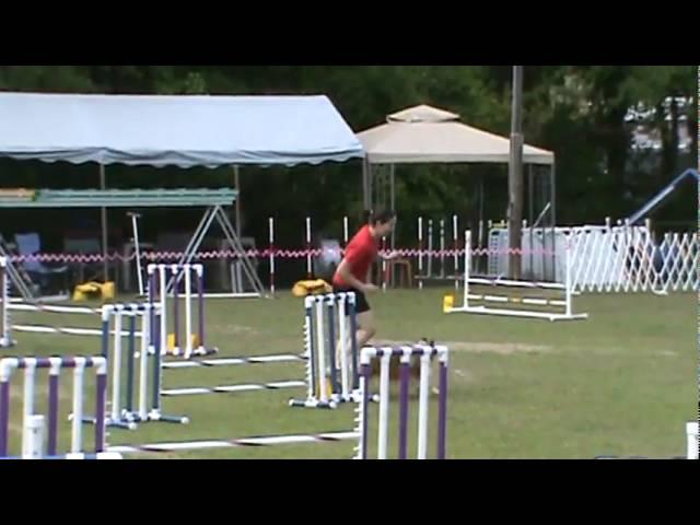 Bentley's First Masters Jumpers Run (NQ)