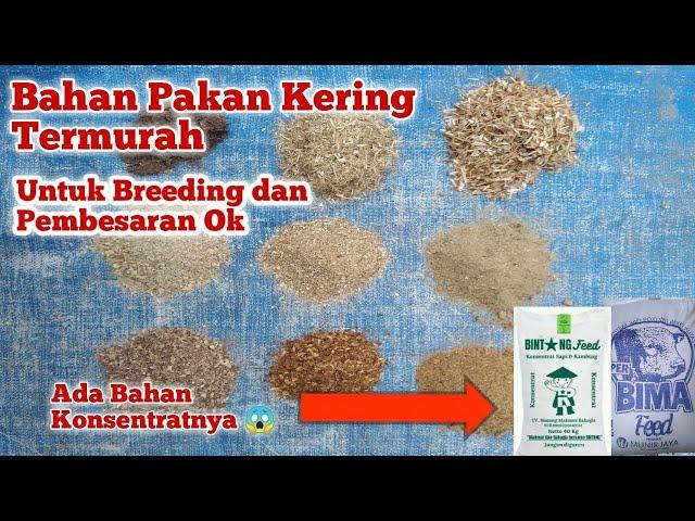 Pakan Kering Kambing Yang Murah dan Mudah Dibuat