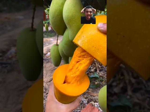 Omg Awesome mango #shorts #viral #mango #skill #cuttingskills