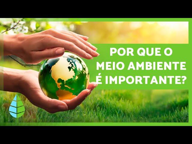 A IMPORTÂNCIA de CUIDAR do MEIO AMBIENTE 