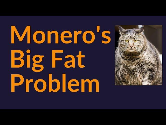 Monero's Big Fat Problem