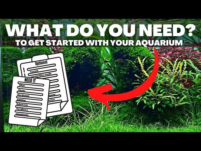 HOW TO: GET STARTED WITH AN AQUARIUM? 10 THINGS YOU NEED!