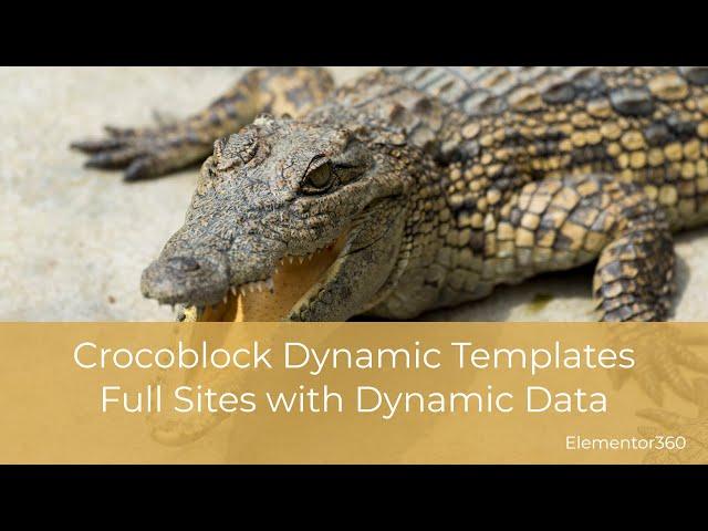 Crocoblock Dynamic Templates - Full Sites with Dynamic Data