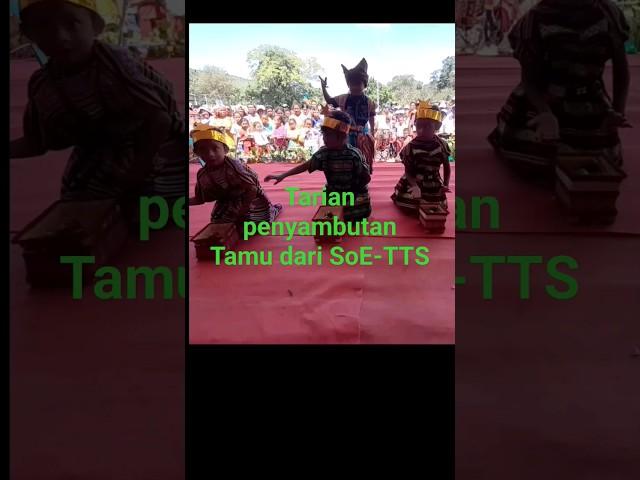 TARIAN PENYAMBUTAN TAMU DARI SOE-TTS #unik #viral #shortvideo