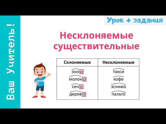 Несклоняемые имена существительные. Как определить несклоняемое существительное?