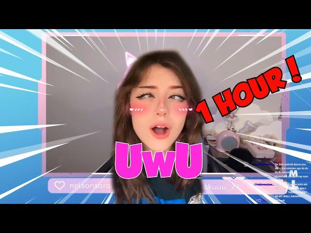 UwU Hannah 1 Hour