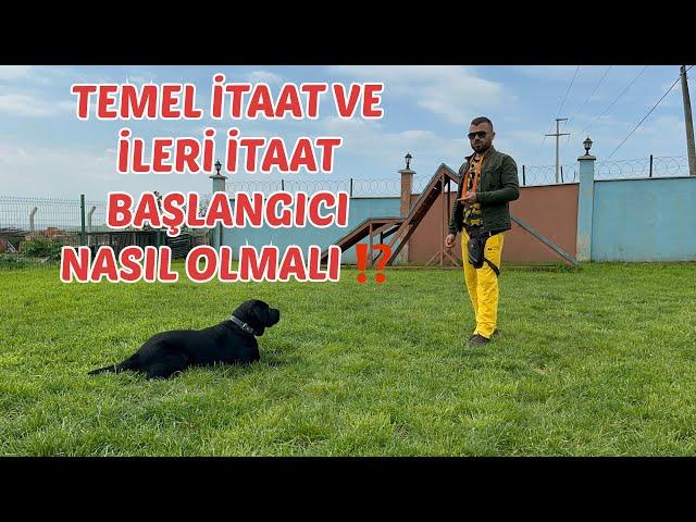 TEMEL İTAAT VE İLERİ İTAAT BAŞLANGICI NASIL OLMALIDIR ⁉️