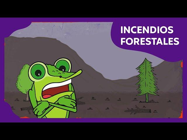 Incendios forestales | Planeta Darwin | Ciencias naturales