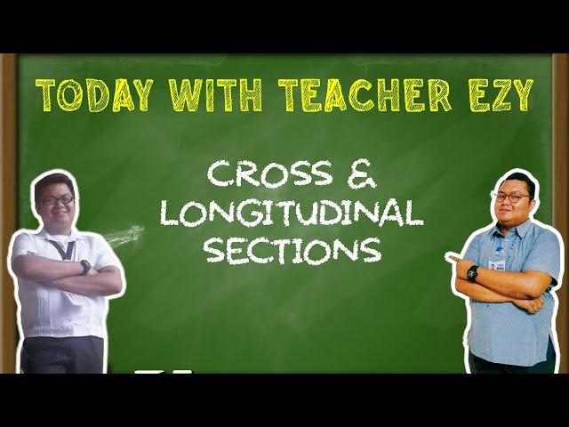 TVE DRAFTING - CROSS AND LONGITUDINAL SECTIONS PROCEDURE