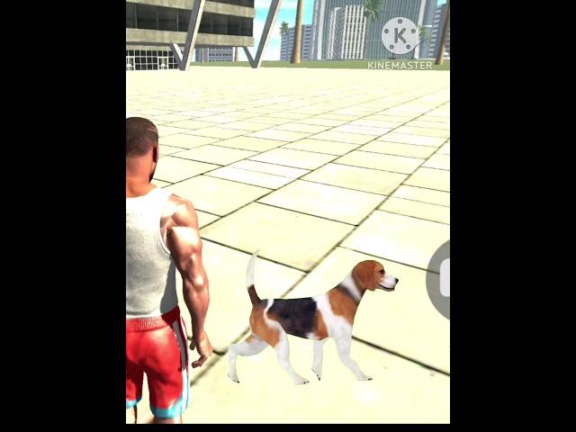 New Dog cheat code in Indian bike driving 3d game me