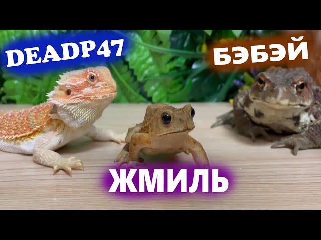 Бэбэй и Жмиль превратились в жаб, а DeadP47 в ящерицу