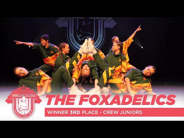 THE FOXADELICS (3rd Place) | Break A Leg 2022 | Meervaart | Crew Competition | Juniors