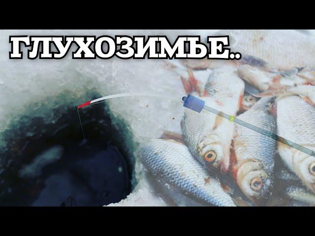 Ловля плотвы на мормышку! Глухозимье. #плотва  #мормышка #рыбалкансо