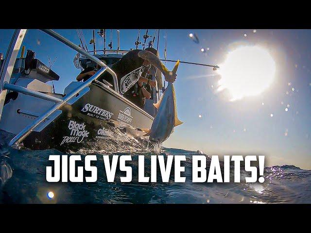 The boys' go on a Kingfish hunt and THIS is what happened - S8 EP5 Mayor Island