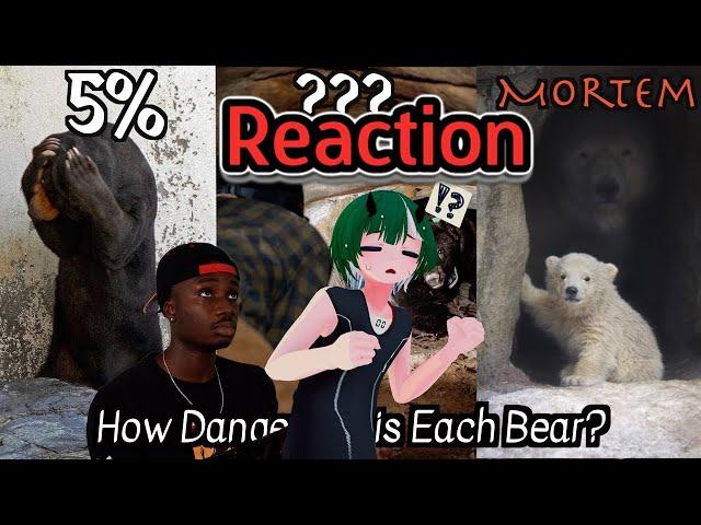 Every Bear and Its Chances of Retiring You From Life | Casual Geographic | Reaction