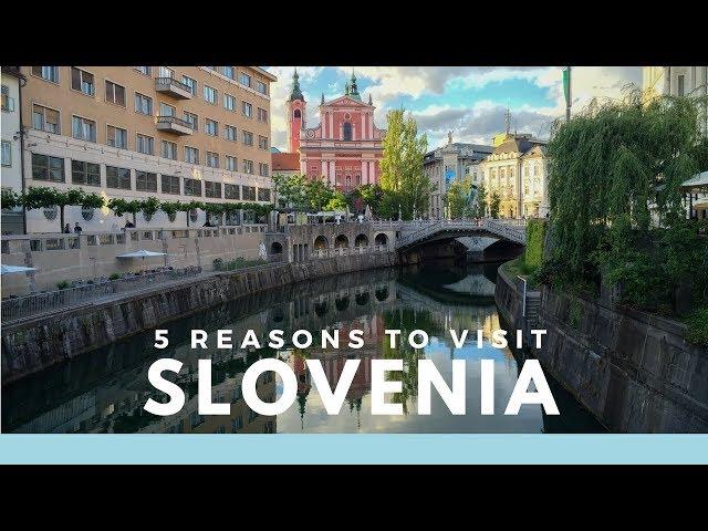 5 Reasons to Visit Slovenia | (We Need a Do Over!)