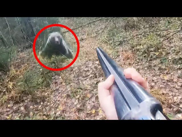 12 Scariest Bear Encounters Ever Filmed in Russia