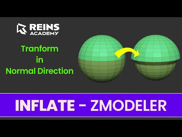 INFLATE - Polygon Action - ZModeler - ZBrush