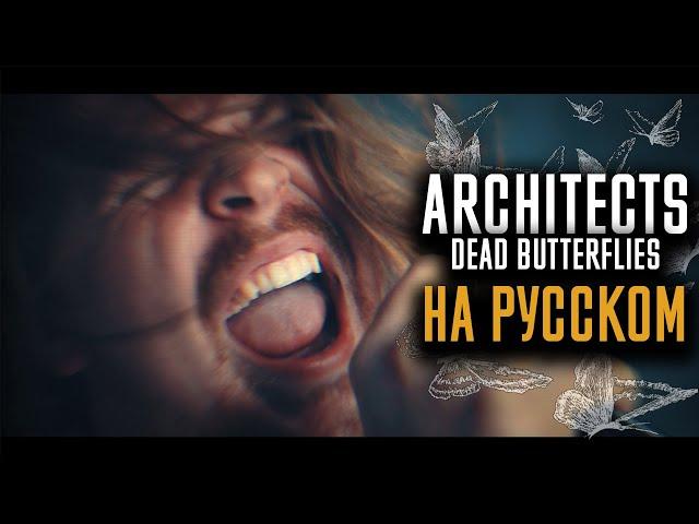 Architects - Dead Butterflies (Cover На Русском) (by Foxy Tail)