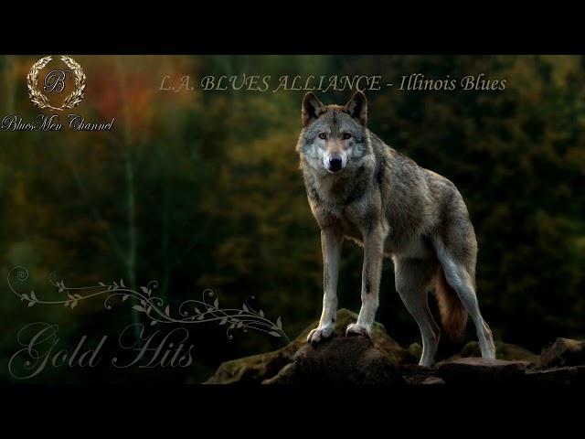 L A  BLUES ALLIANCE - Illinois Blues - (BluesMen Channel "Blues Rock Super Hits")