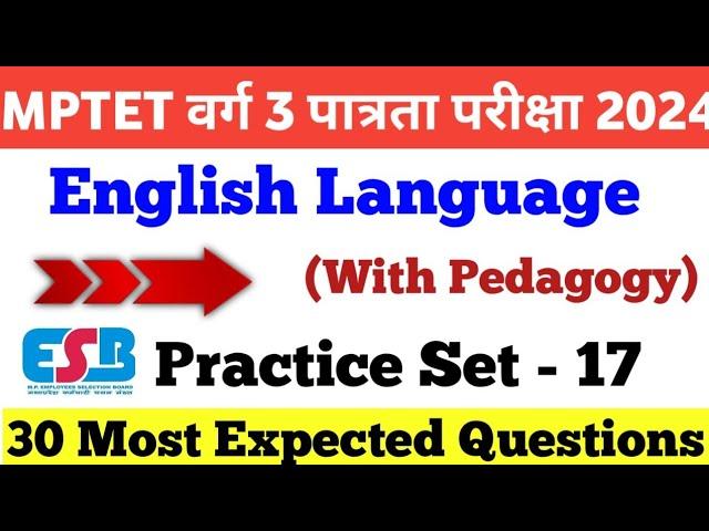 MPTET Varg 3 English Language and Pedagogy Practice Set- 17|English Marathon|MPTET varg 3 Top 30 PYQ