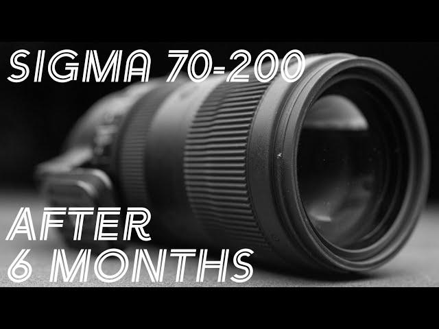 Sigma 70-200 f2.8 Sport Lens 6 Month Review