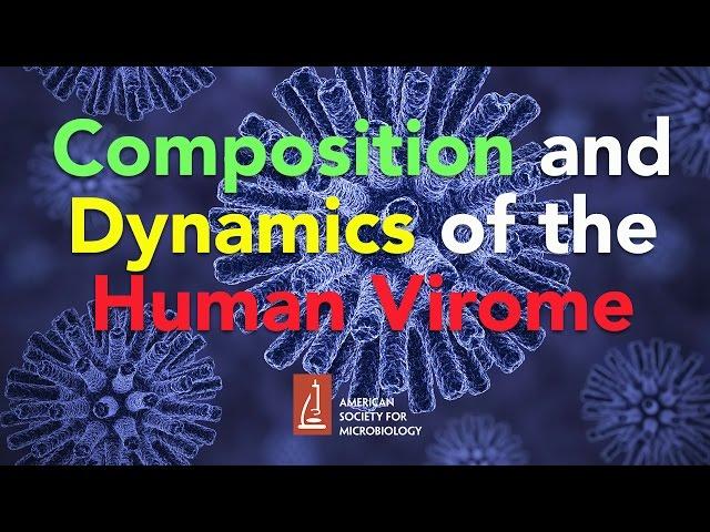 Composition and Dynamics of the Human Virome by Frederic Bushman, PhD