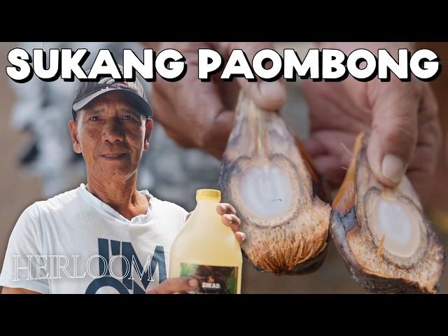 The Best Traditional Vinegar in the Philippines (Sukang Paombong)