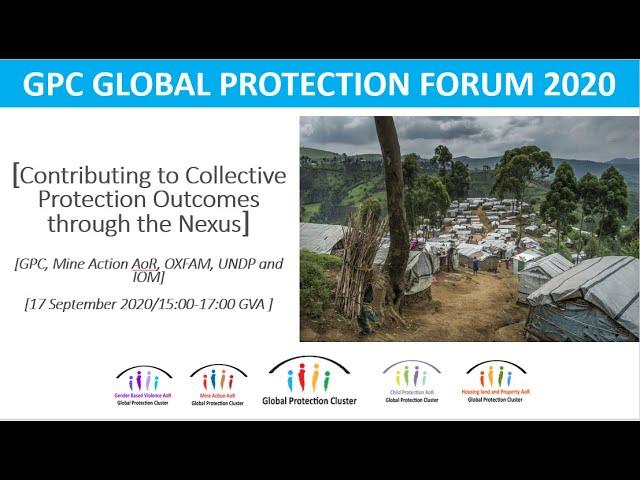 Contributing to Collective Protection Outcomes through the Nexus