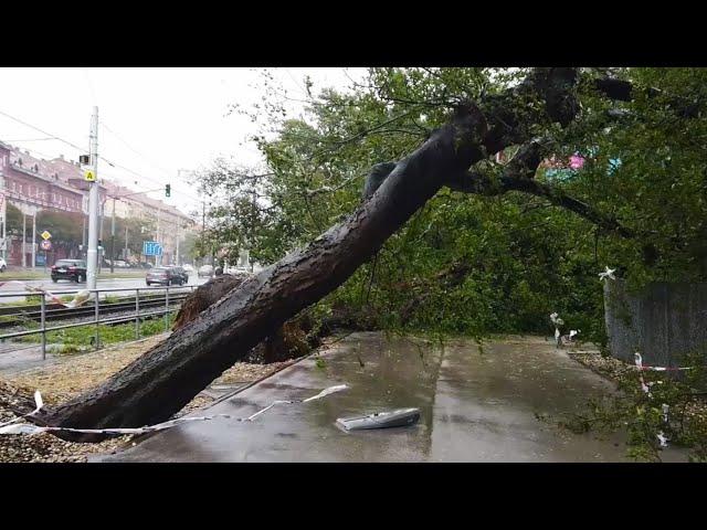 Spúšť v Bratislave - následky silného vetra a dažďa (15/09/2024)