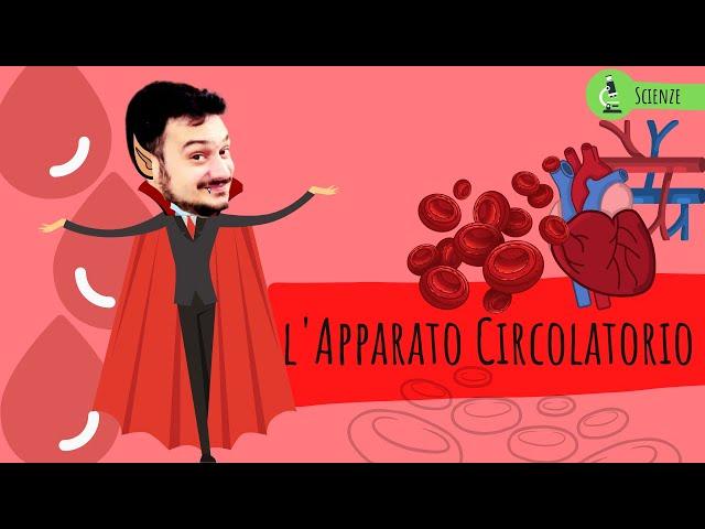 L'APPARATO CIRCOLATORIO - Le scienze spiegate ai bambini di scuola primaria