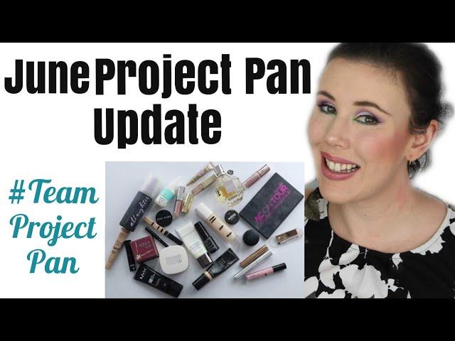 Project Pan 2019 June Update | Year Long Rolling Project Pan