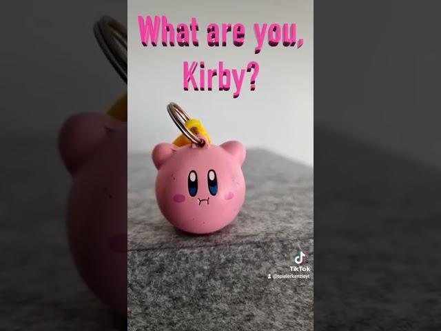 What Are you Kirby? | We love this Tiktok Detector filter!