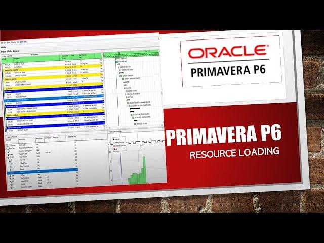 Primavera P6 Resource Loading #p6 #Primavera #Resourceloading #Projectplanning #projectmanagement