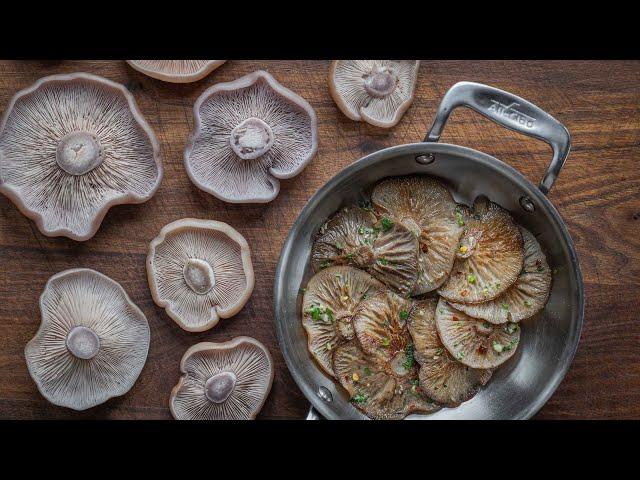 Dry Sauteed Blewit Mushrooms