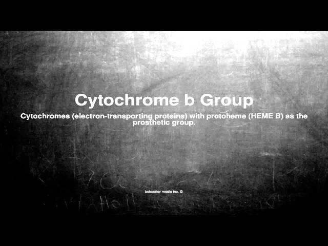 Medical vocabulary: What does Cytochrome b Group mean