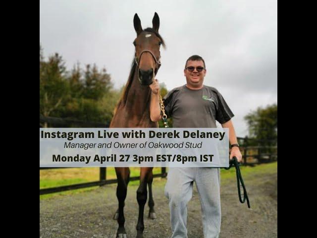 Instagram LIVE with Derek Delaney, manager of Oakwood Stud Ireland