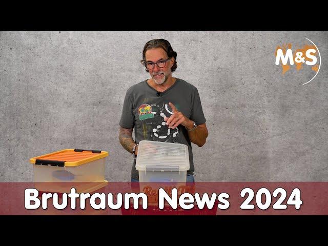 Ballpython News 2024 | Reptil TV